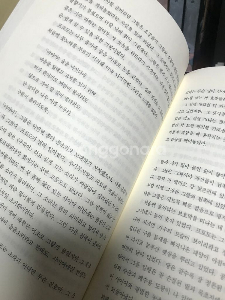 해리포터 + 반지의 제왕--4