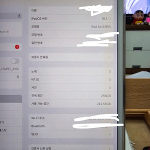 아이패드 에어 3세대 256기가