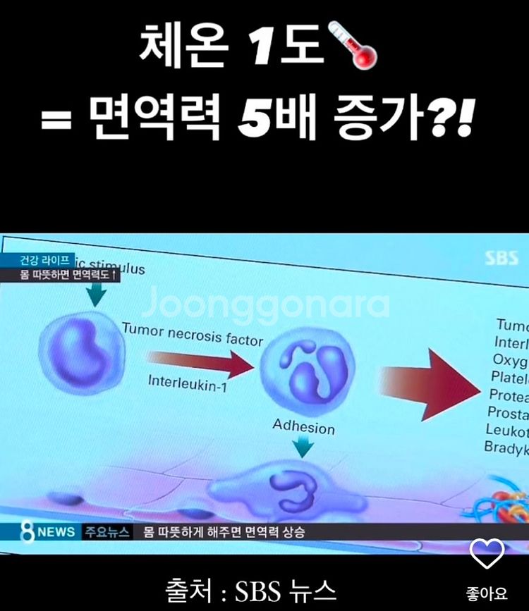 온체 고주파기계 새제품--9