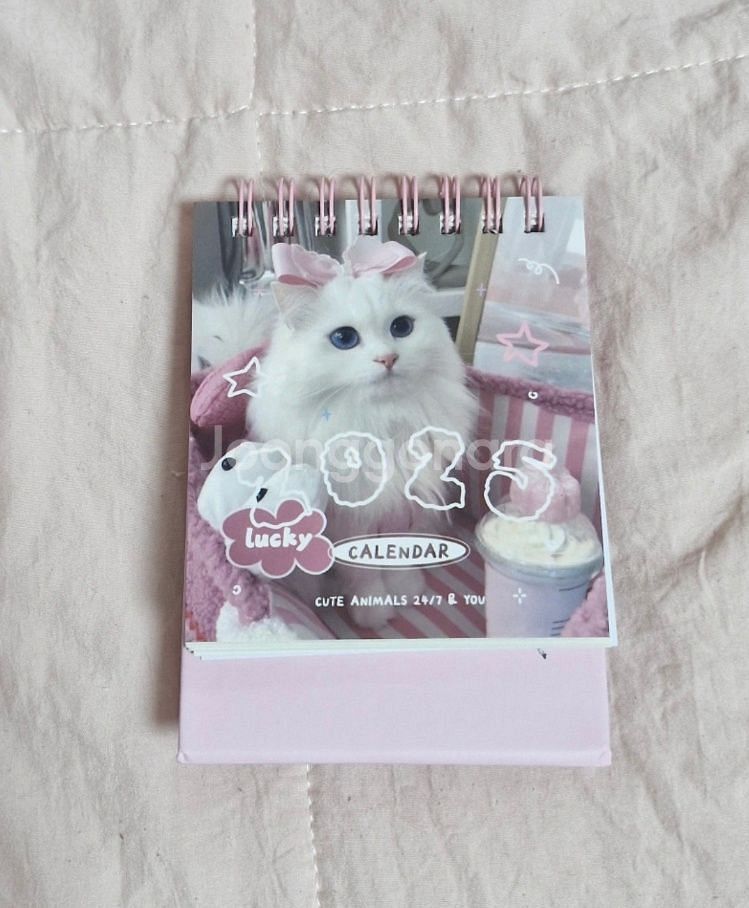 너무 귀여운 2025년 고양이 탁상 달력 새상품--0