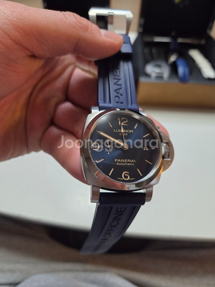 파네라이 루미노르 GMT--2