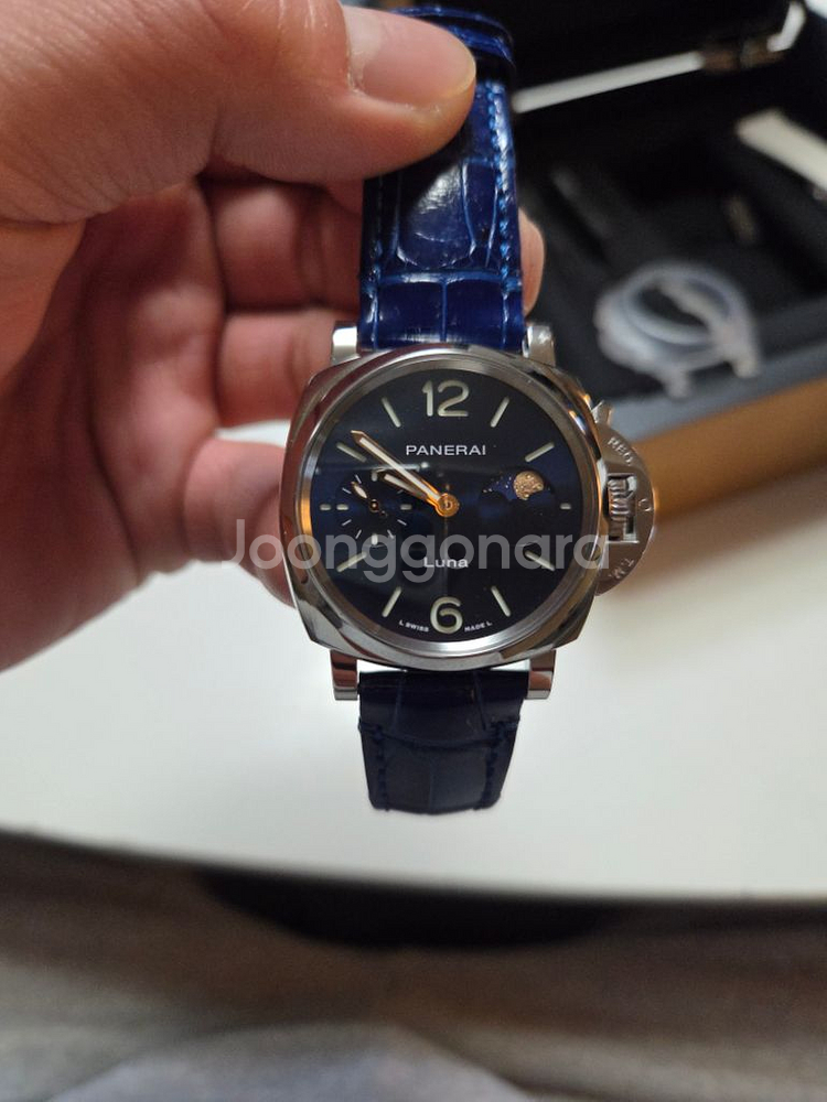 파네라이 루미노르 GMT--6