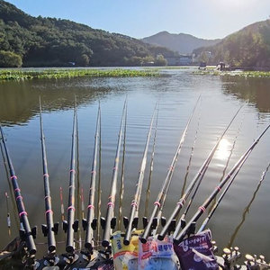 아이테르리멤버 대물낚시대