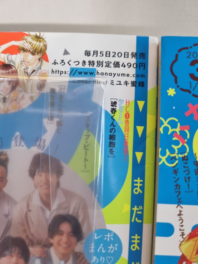 하나또유메3호+12호 하나토유메 봄의폭풍과몬스터 타몬군--2