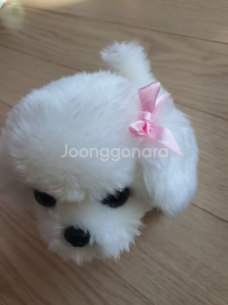 움직이는 강아지 인형--1