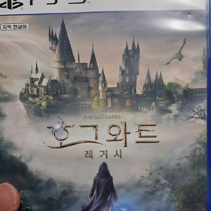 PS5 호그와트 레거시