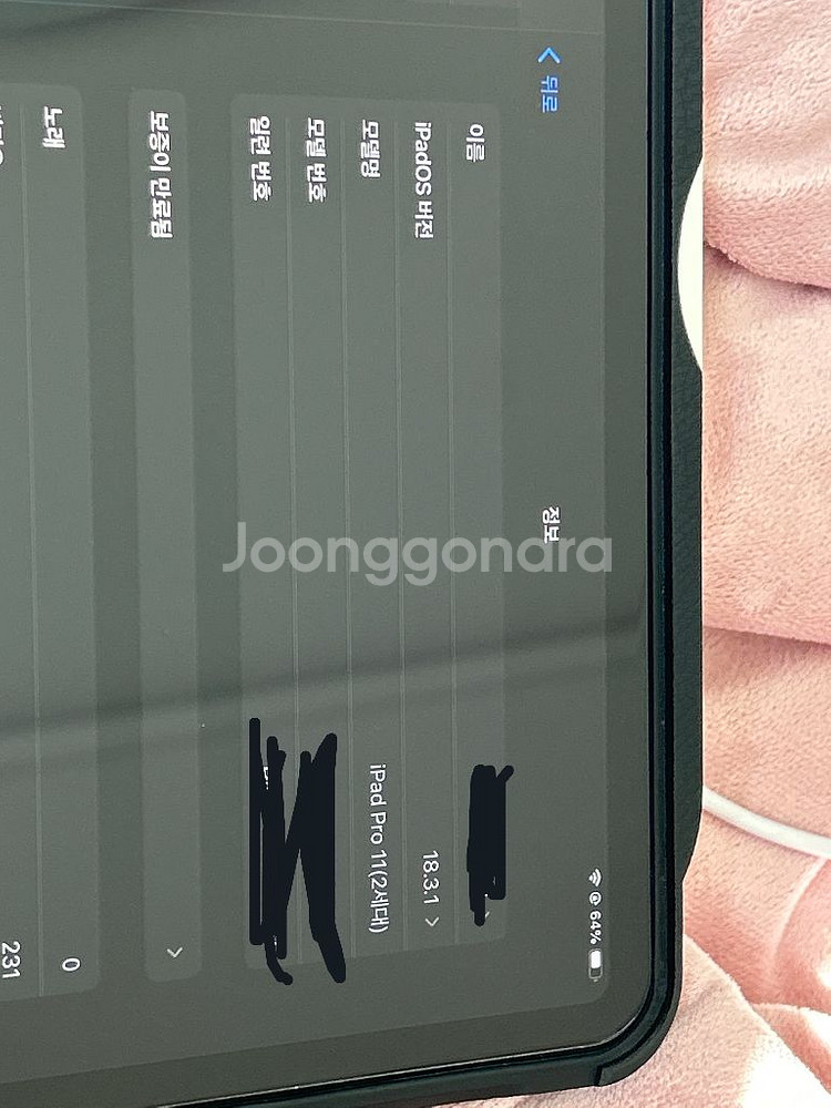 애눌가능 아이패드 프로 2세대 11인치 256GB--7