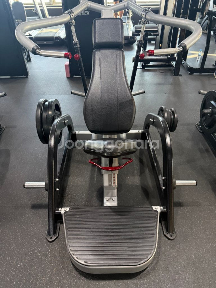 너틸러스 (레버리지) 인클라인 체스트 프레스--1