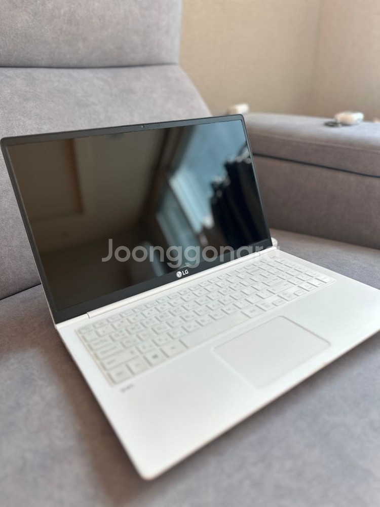 *LG Gram 노트북 i5 10세대 SSD512, 램--2