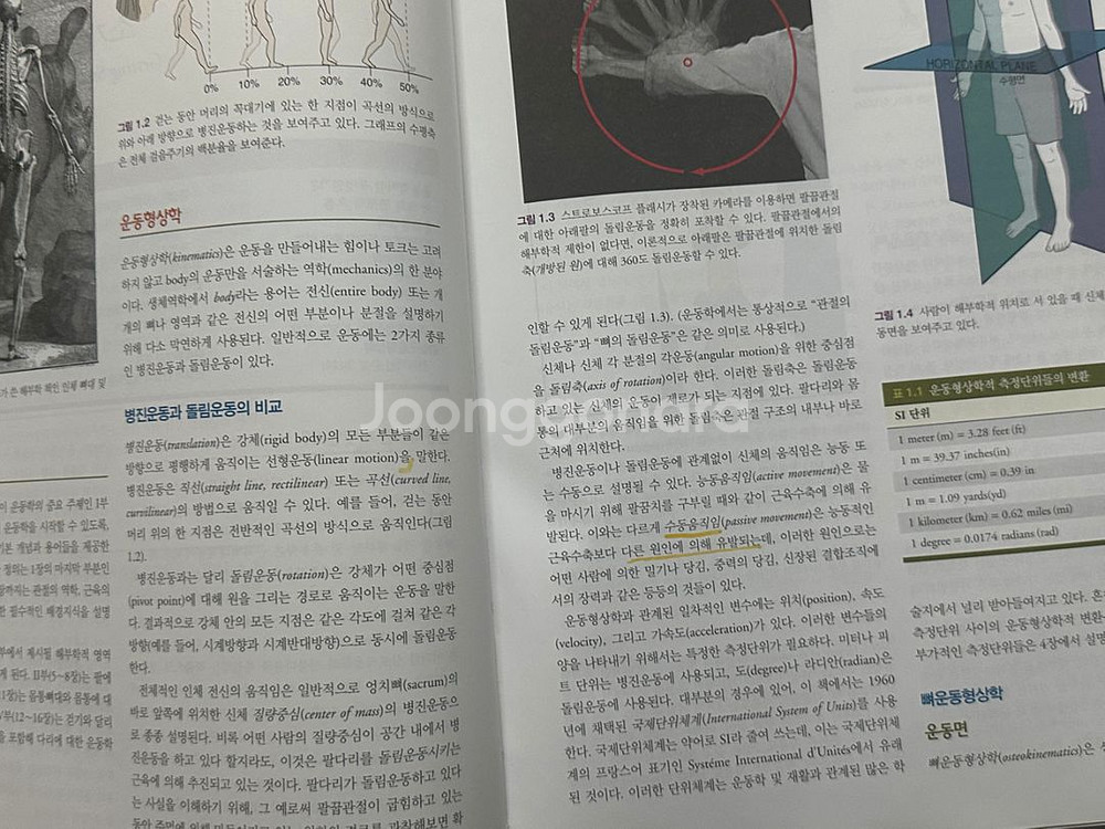 뉴만 키네시올로지, 운동치료총론 키스너콜비--2