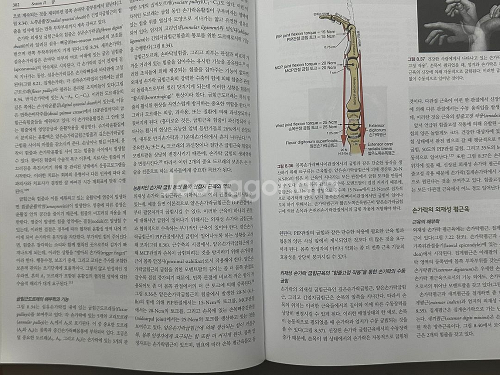 뉴만 키네시올로지, 운동치료총론 키스너콜비--1