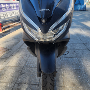 2019년 pcx125