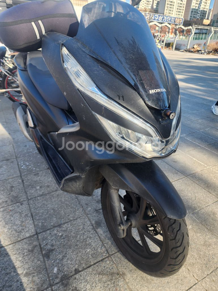 2019년 pcx125--5