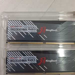 킹뱅크 DDR5 32GB 6400MHz