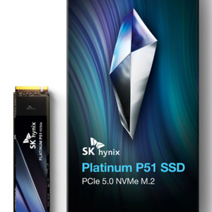 p51 ssd 삽니드