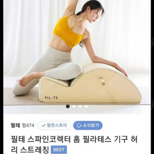 필라테스 필테기구 스파인코렉터 허리 스트레칭