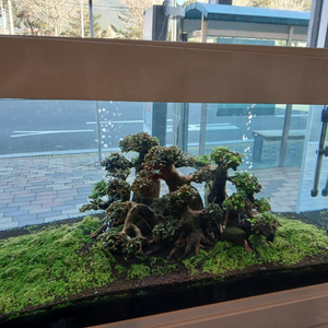 수조4자(120*60*60)