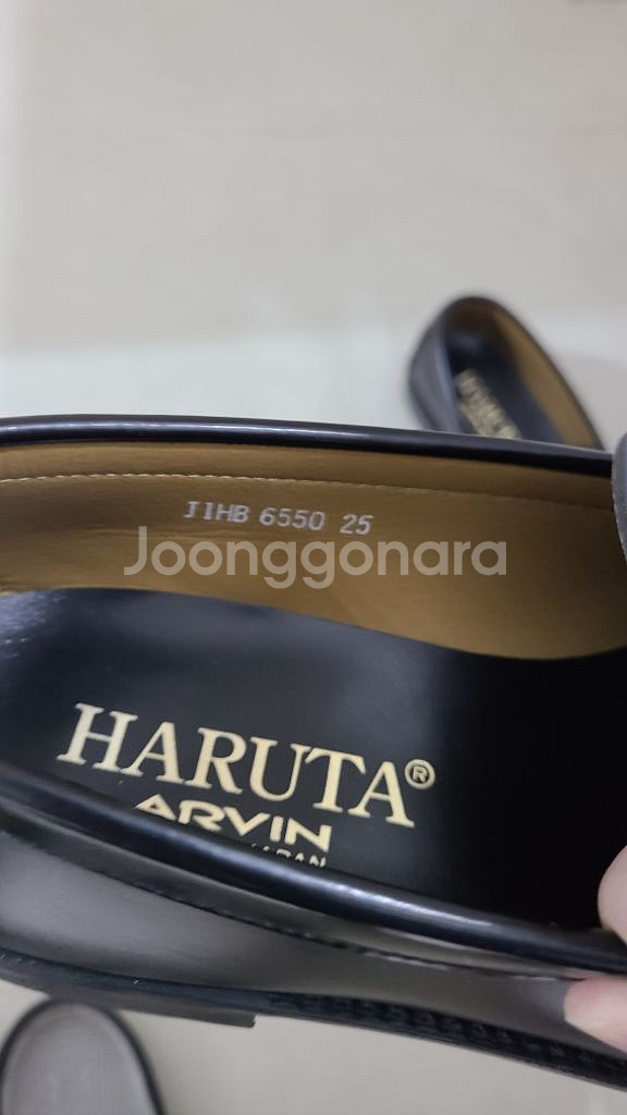 하루타 6550 250사이즈--2