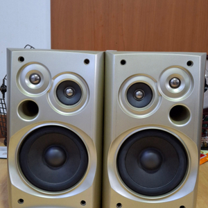 TAEKWANG TSP-390(R) speaker