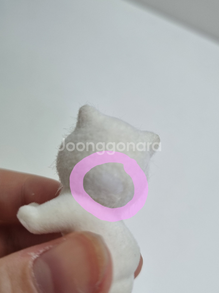 단종 구버전 실바니안 페르시안 고양이 쌍둥이--1