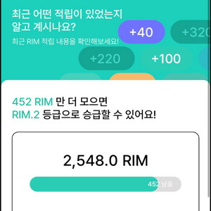 아난티 2000림 판매