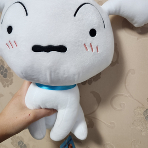 흰둥이 인형 새상품