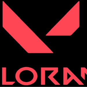 발로란트 최강큰안경 대리