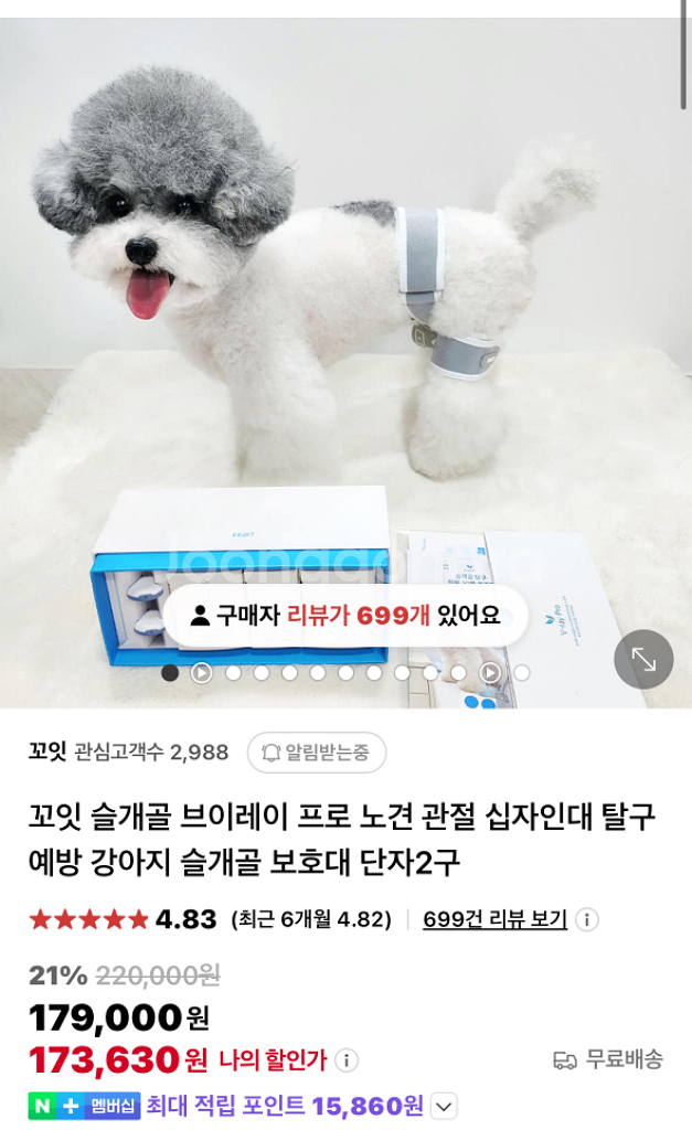 꼬잇 V-ray 프로 슬개골 케어기기 2단자--1