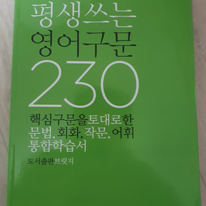 평생쓰는 영어구문 230. 영어공부 문법 회화 어휘