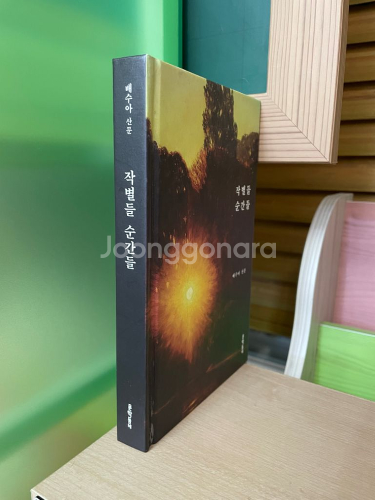 작별들 순간들 : 배수아 산문--2