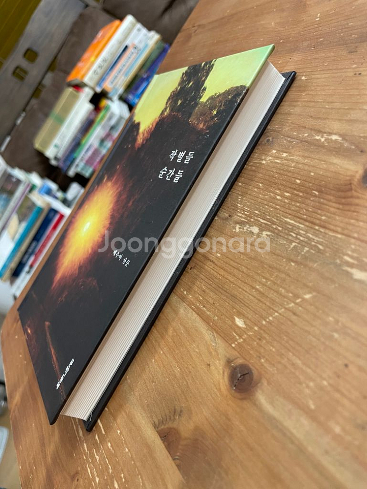 작별들 순간들 : 배수아 산문--3