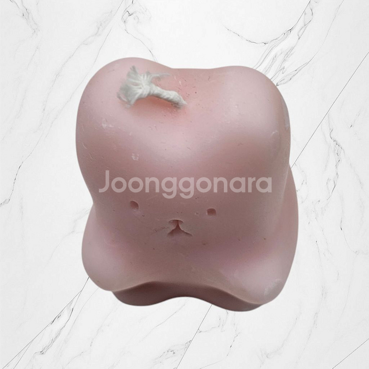 러블리 무드 핸드메이드 핑크 애플 캔들--0