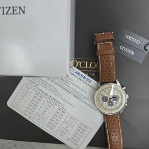 시티즌 남성시계 CA4500-16X