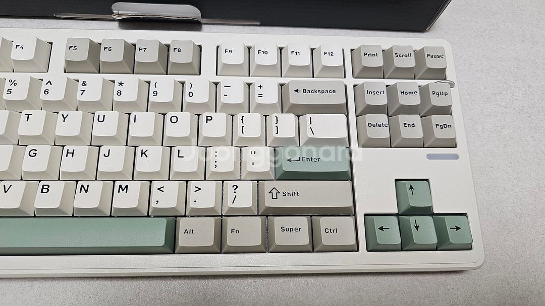 RS8 핑크치즈축--2