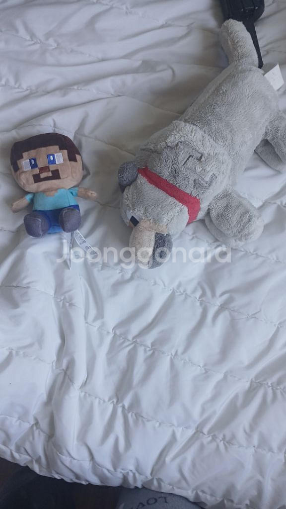 마인크래프트 정품 늑대 인형 + 스티브 인형--0