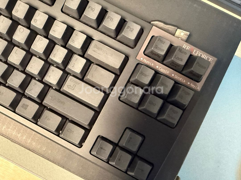 리얼포스 r2 저소음55g 블랙--4