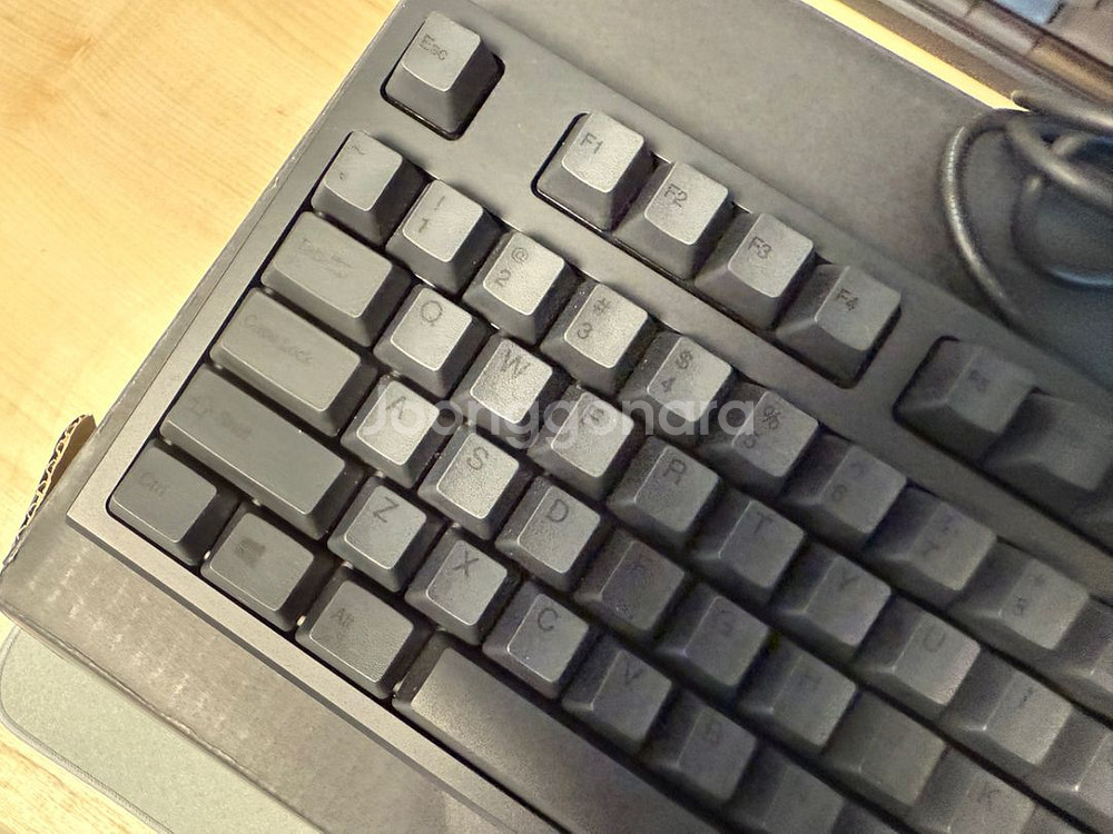 리얼포스 r2 저소음55g 블랙--3
