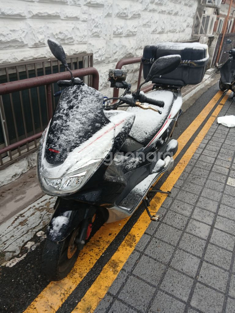 Honda pcx125--4
