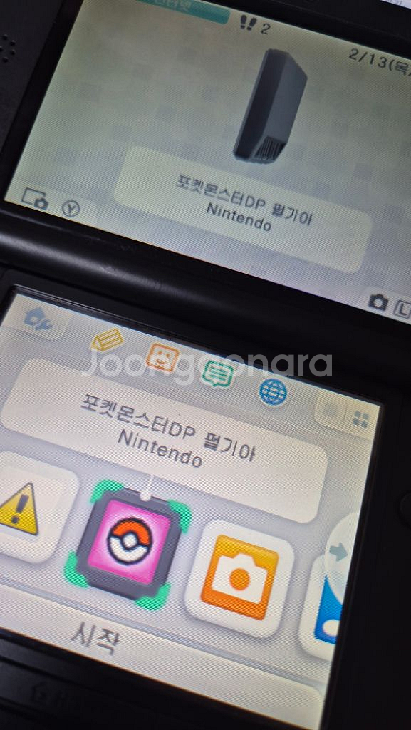 닌텐도 칩 펄기아--2