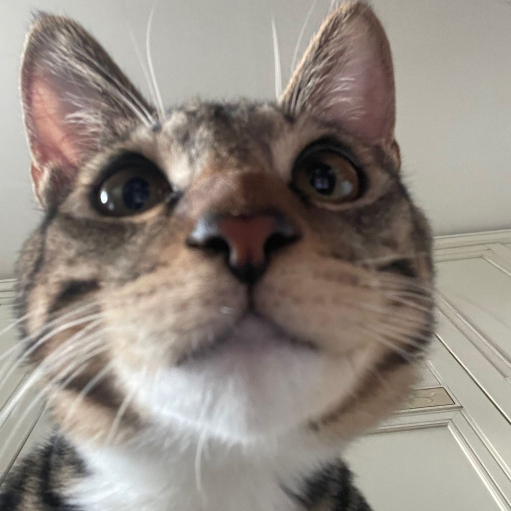 profile-image