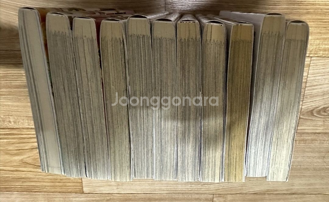 왕실교사 하이네 원서 1~10, 캐릭터북--2