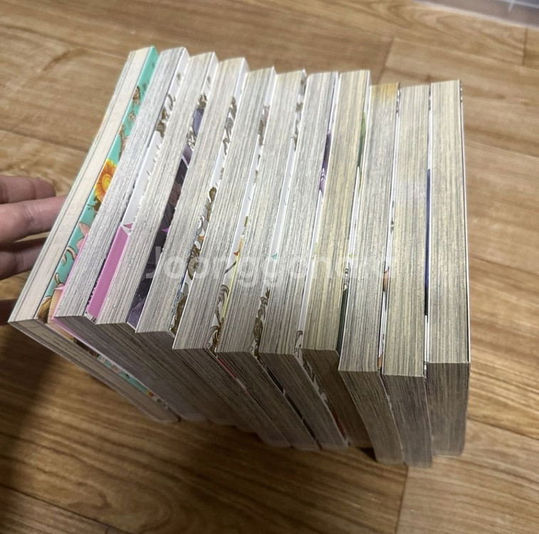 왕실교사 하이네 원서 1~10, 캐릭터북--1