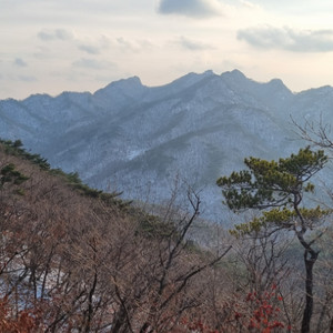 오늘 무주리프트권 곤도라권 대인4장 팝니다 6시간권