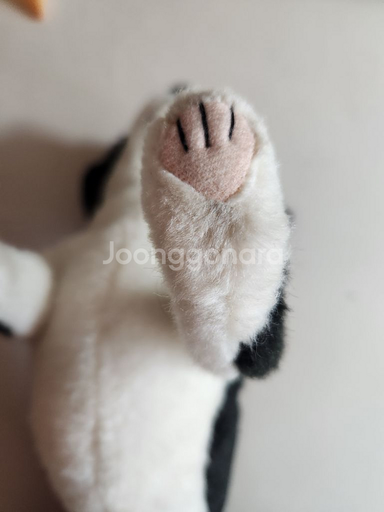 한사토이 강아지 인형(검정치와와) 판매합니다--2