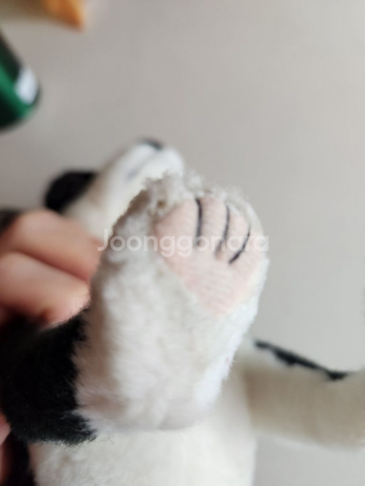 한사토이 강아지 인형(검정치와와) 판매합니다--3