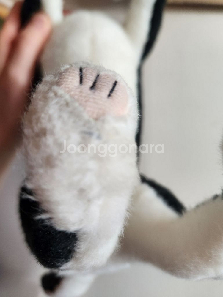 한사토이 강아지 인형(검정치와와) 판매합니다--4