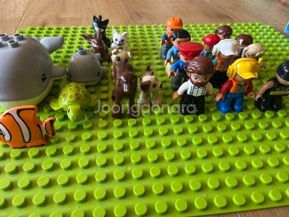 듀플로(유럽현지컬렉션)--3