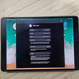 아이패드 프로 10.5 WiFi 64GB배터리교체