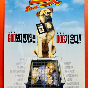 [영화팜플렛] 스팟 A4 1장 전단지(2001)