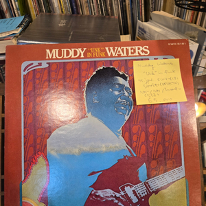 Muddy Waters.unkin funk.75.jpn